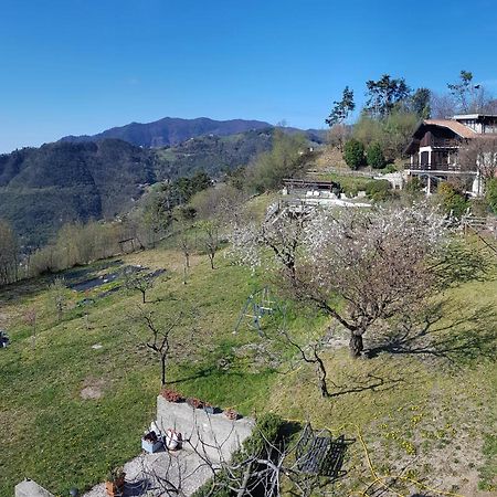 Teresa Campi Apartments Lake View By Gardadomusmea Tremosine Екстер'єр фото